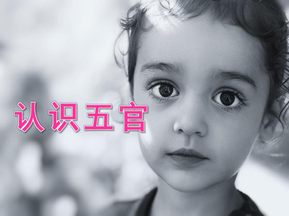 大班健康《五官很重要》PPT课件教案音频PPT课件.pptx_第3页