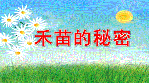 大班科学《禾苗的秘密》PPT课件教案微课件.pptx