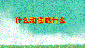 什么动物吃什么PPT课件教案图片什么动物吃什么.pptx