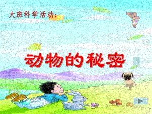 大班科学优质课《动物的秘密》PPT课件大班-动物的秘密.pptx