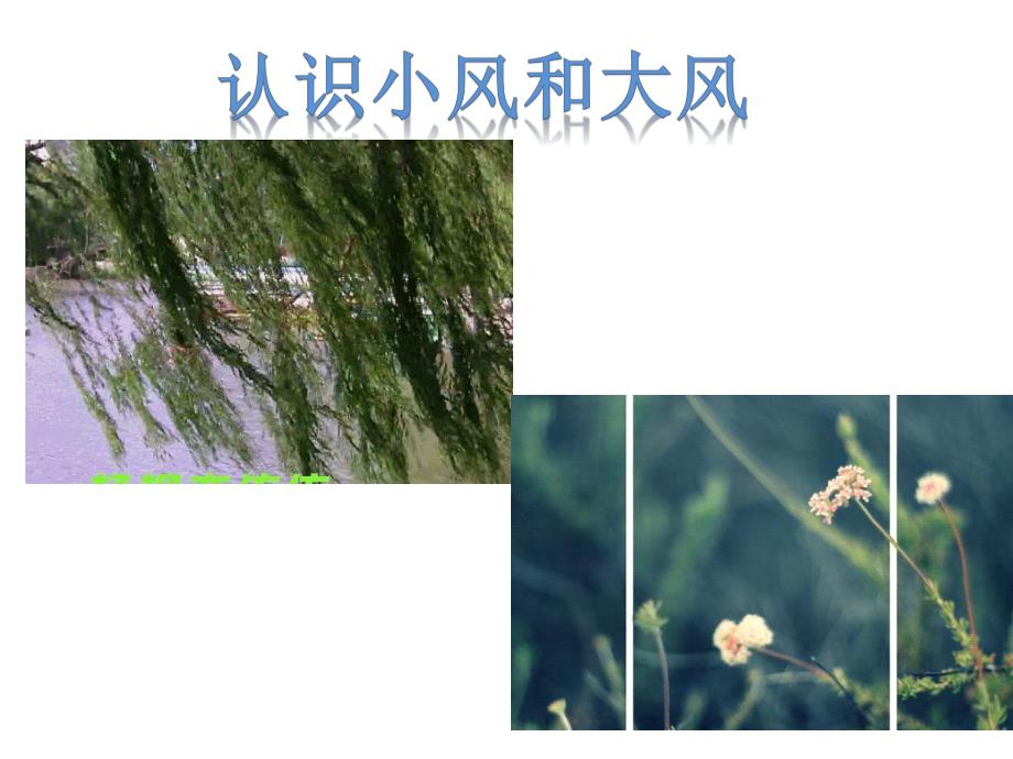 大班安全《起风了》PPT课件安全：起风了.pptx_第2页