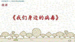 大班科学《我们身边的病毒》PPT课件教案微课件.pptx