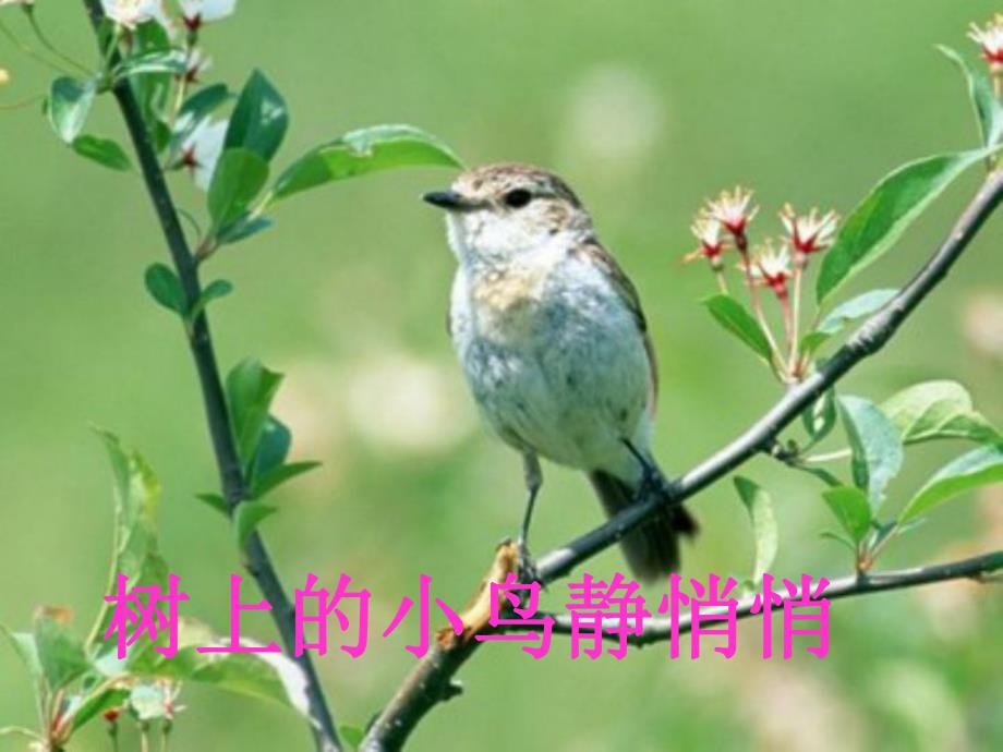 学前班语言《午睡歌》PPT课件ppt课件.pptx_第2页