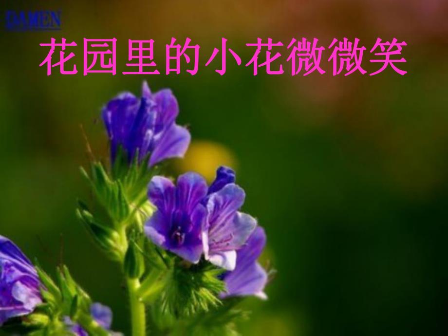 学前班语言《午睡歌》PPT课件ppt课件.pptx_第3页