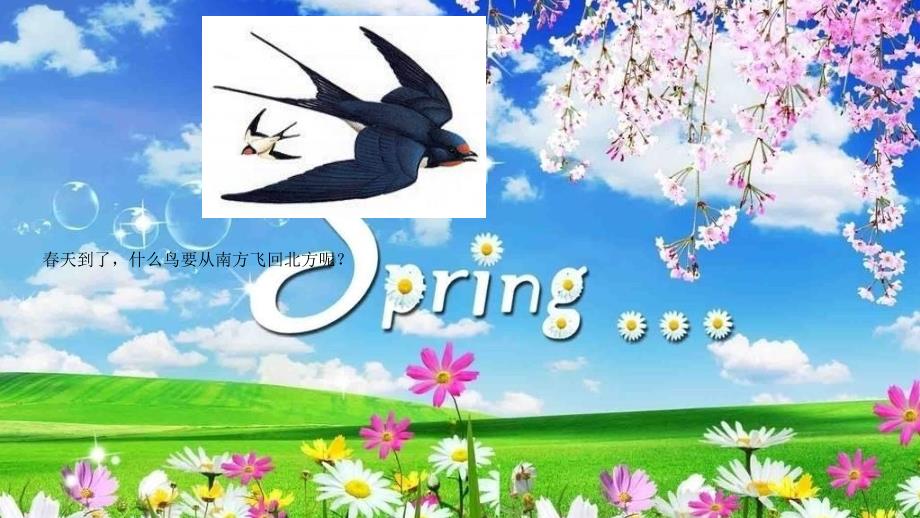 中班美术《燕子来了》PPT课件中班美术燕子来了.pptx_第3页