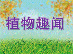 大班科学活动《植物趣闻》PPT课件教案PPT课件.pptx