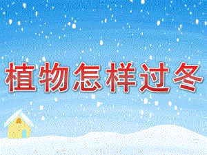大班科学活动《植物怎样过冬》PPT课件教案PPT课件.pptx