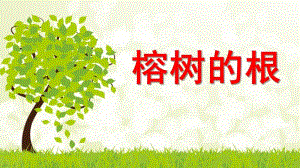 大班科学《榕树的根》PPT课件榕树的根-大班教案.pptx