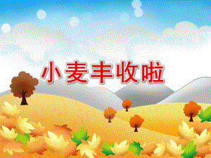 大班社会《小麦丰收啦》PPT课件教案小麦的一生大班.pptx