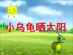 小班故事《小乌龟晒太阳》PPT课件教案配音音乐PPT课件.pptx