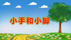 小班体育《小手和小脚》PPT课件教案教学课件.pptx