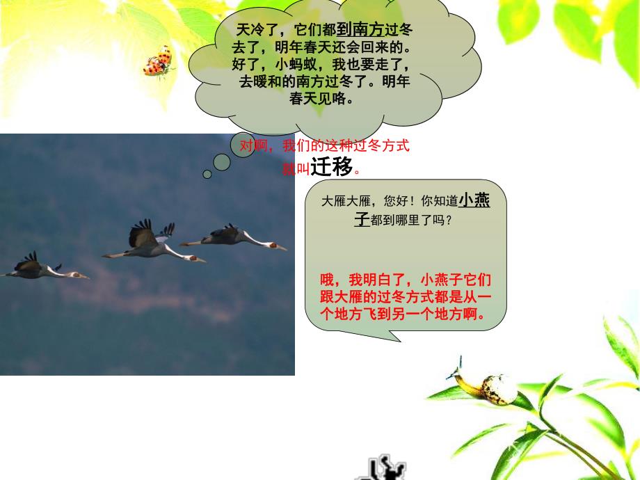 大班《小动物的过冬方式》PPT课件教案PPT课件.pptx_第3页