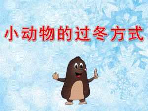 大班《小动物的过冬方式》PPT课件教案PPT课件.pptx