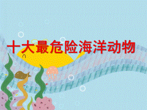 大班社会《十大最危险海洋动物》PPT课件十大最危险海洋动物.pptx