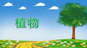 大班语言《植物》PPT课件教案大班语言：幼儿园的植物.pptx