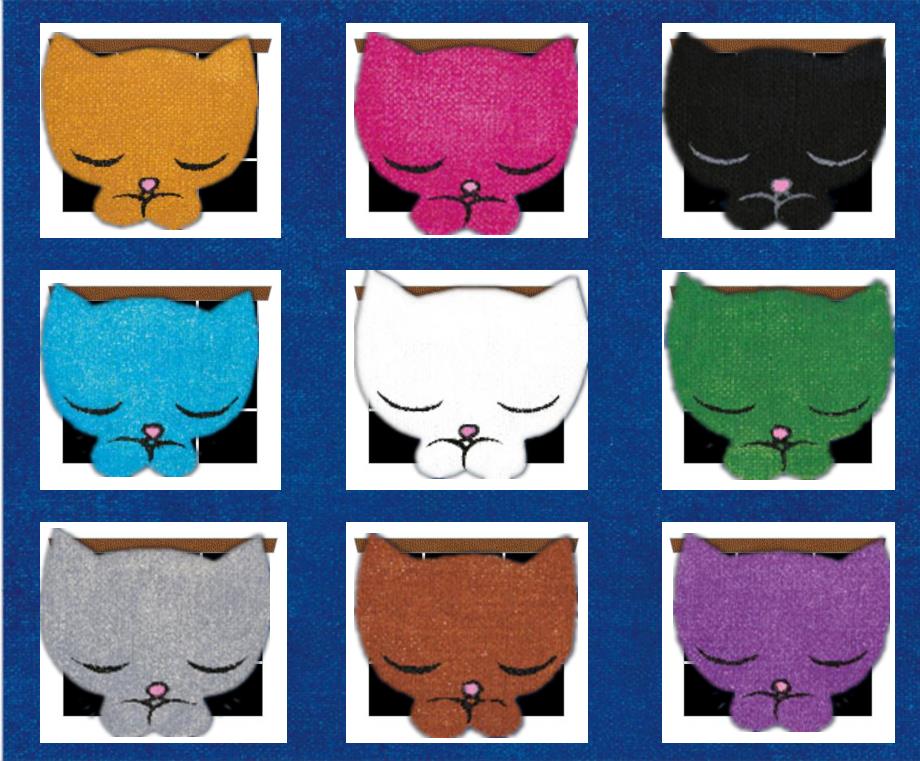 大班语言游戏活动《九只小猫呼呼呼》视频+课件9只小猫呼呼呼.pptx_第1页