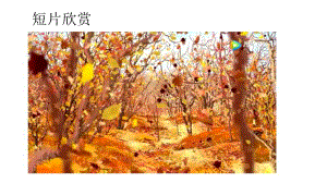 大班艺术《喷画---叶子画》微课件.pptx