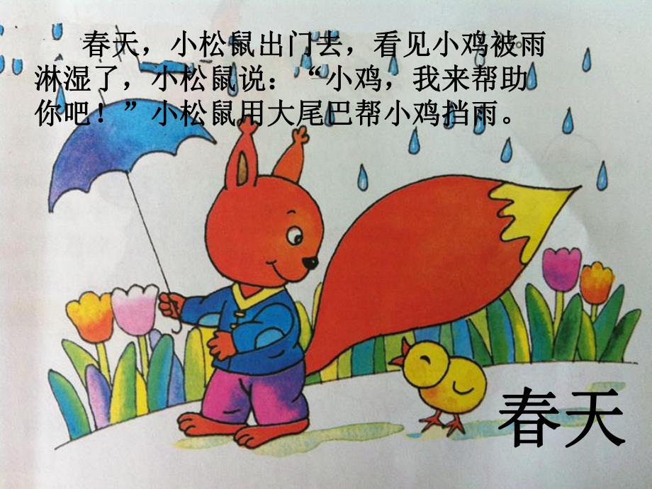 大班语言《小松鼠的大尾巴》PPT课件教案小松鼠的大尾巴.pptx_第2页