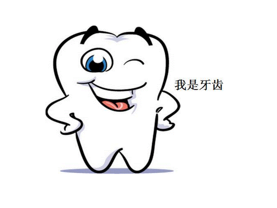 大班《牙齿的秘密》PPT课件教案.pptx_第2页