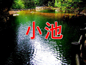 大班古诗《小池》PPT课件教案古诗《小池》.pptx