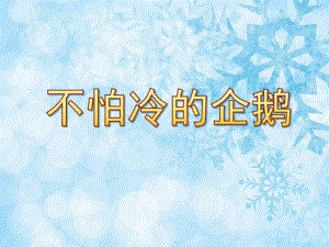 小班科学《不怕冷的企鹅》PPT课件教案PPT课件.pptx
