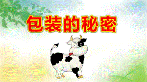 大班科学《包装的秘密》PPT课件教案包装的秘密-.pptx