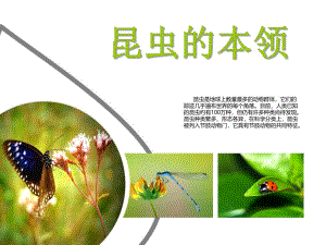 大班科学《昆虫的本领》PPT课件昆虫的本领.pptx