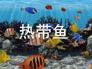 大班艺术彩泥《热带鱼》PPT课件彩泥《热带鱼》.pptx