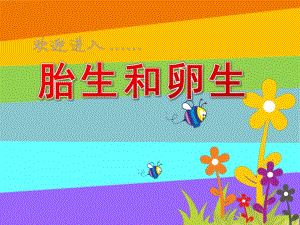 大班科学《胎生和卵生》PPT课件教案大班科学《胎生和卵生》.pptx