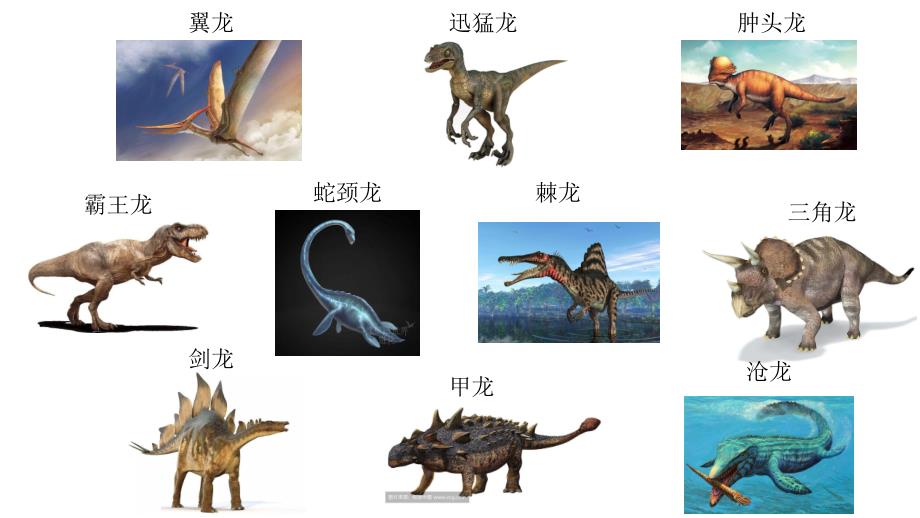 大班科学《恐龙为什么不见了》PPT课件教案大班科学《恐龙为什么不见了》课件.pptx_第2页