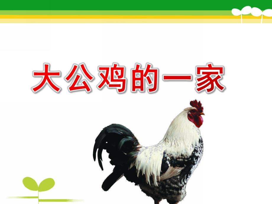 小班活动《大公鸡的一家》PPT课件大公鸡的一家.pptx_第1页