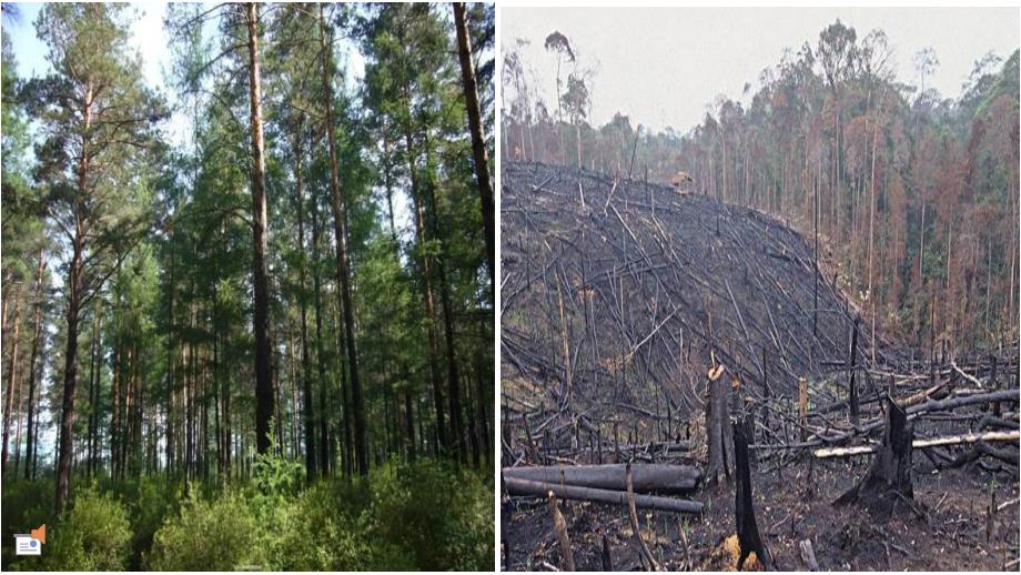 大班社会《着火了怎么办》PPT课件教案视频音乐PPT课件.pptx_第2页