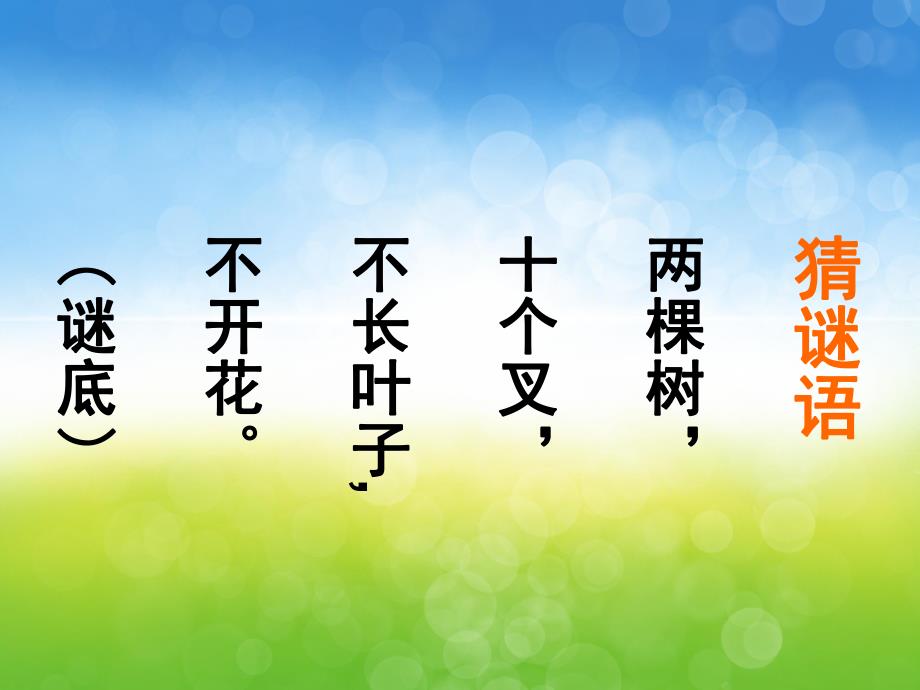 大班美术《美丽的叶子》PPT课件教案PPT课件.pptx_第3页