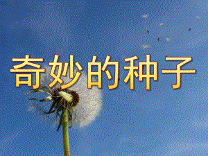 大班科学《奇妙的种子》PPT课件教案PPT课件.pptx