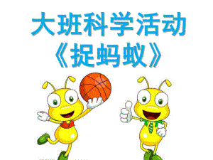 大班科学活动《捉蚂蚁》PPT课件大班科学捉蚂蚁.pptx