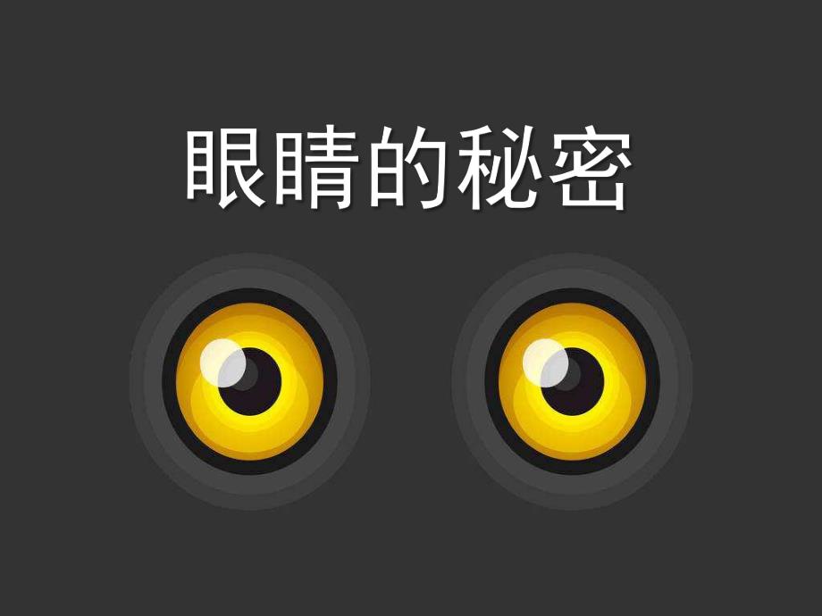 大班健康说课《眼睛的秘密》PPT课件大班健康说课课件《眼睛的秘密》PPT课件.pptx_第1页