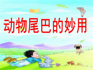 大班《动物尾巴的妙用》PPT课件大班-动物尾巴的妙用.pptx