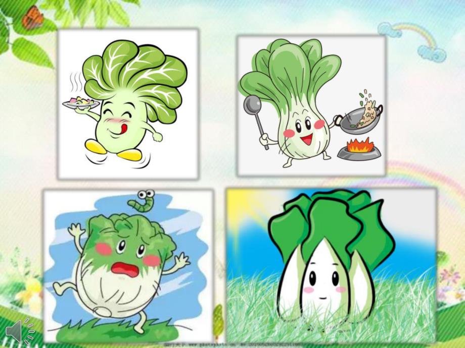 中班艺术《有趣的白菜》PPT课件教案微课件.pptx_第3页