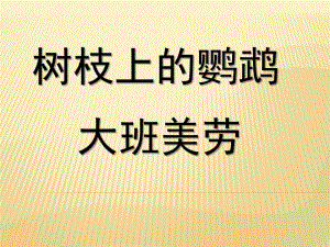 大班艺术《树枝上的鹦鹉》PPT课件教案微课件.pptx
