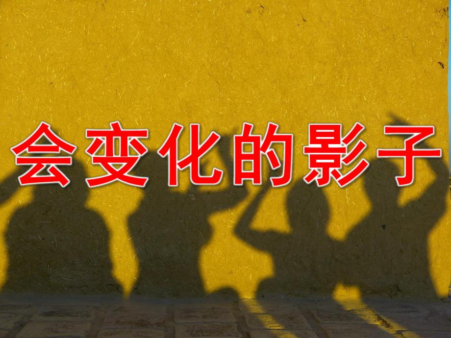 会变化的影子PPT课件教案图片PPT课件.pptx_第1页