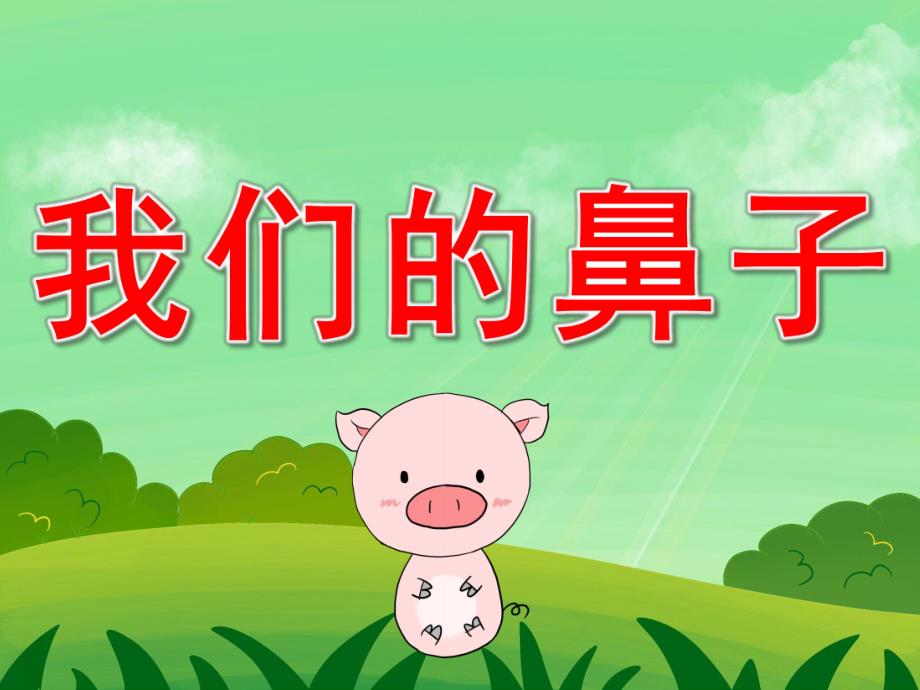 大班健康《我们的鼻子》PPT课件教案PPT课件.pptx_第1页