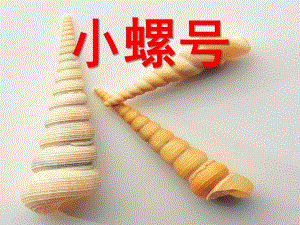 大班音乐《小螺号》PPT课件教案歌曲小螺号.pptx