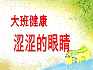 大班健康《涩涩的眼睛》PPT课件大班健康--涩涩的眼睛.pptx