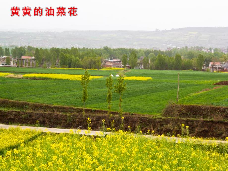 大班语言故事课件《春天的电话》PPT课件教案PPT课件.pptx_第2页