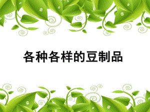 大班科学《各种各样的豆制品》PPT课件各种各样的豆制品.pptx