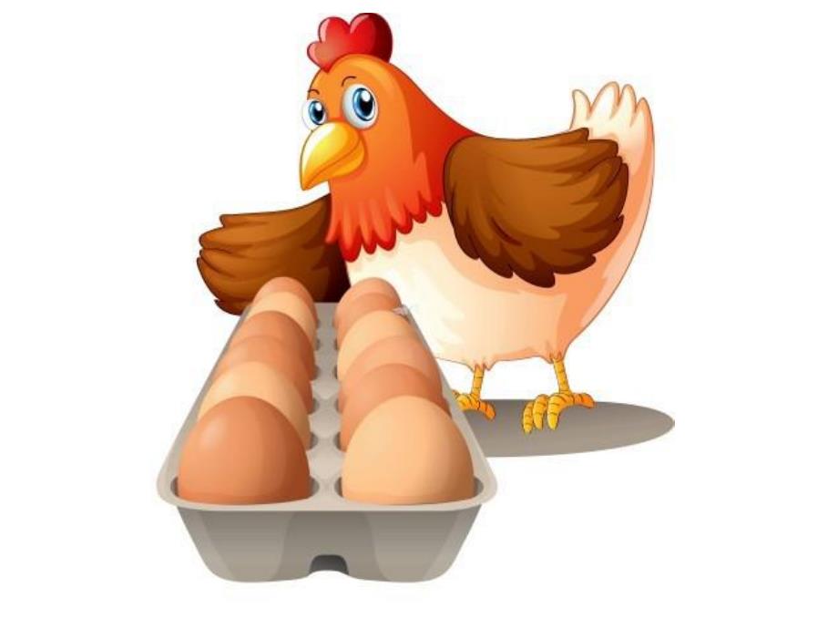 大班科学《鸡蛋里的秘密》PPT课件教案鸡蛋里的秘密.pptx_第2页