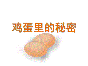 大班科学《鸡蛋里的秘密》PPT课件教案鸡蛋里的秘密.pptx