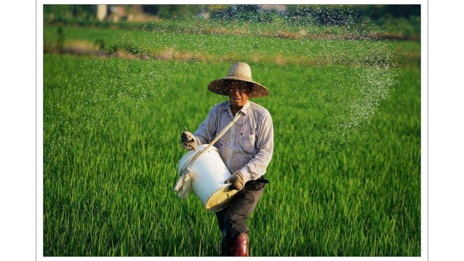 大班社会《我的理想》PPT课件教案幼儿园大班《我的理想》.pptx_第2页