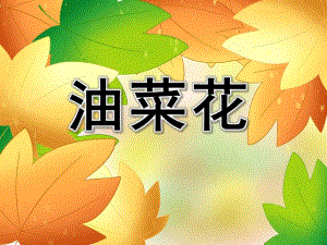 大班美术《油菜花》PPT课件教案PPT课件.pptx