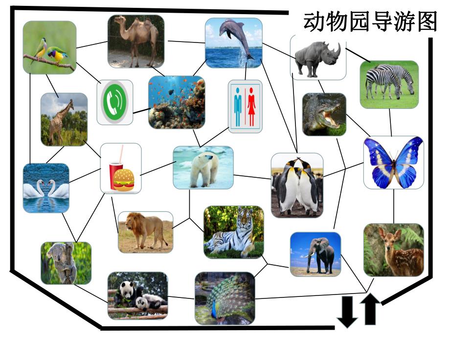 大班安全《出游好帮手》PPT课件大班-出游好帮手.pptx_第3页